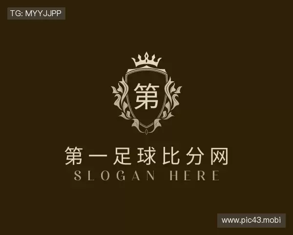 了解第一足球比分网